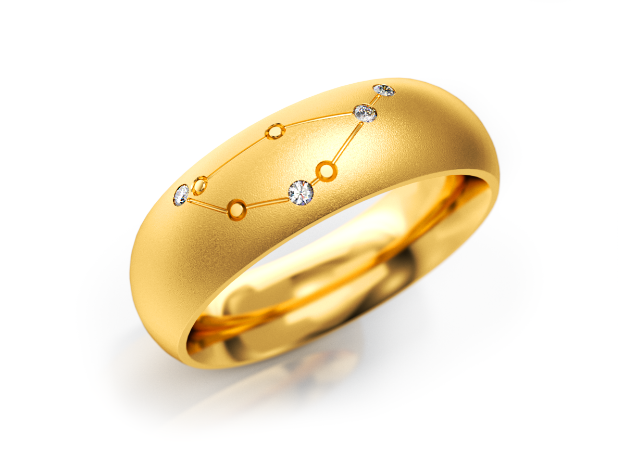 Bild von Zodiac-Ring "Steinbock"_600 G